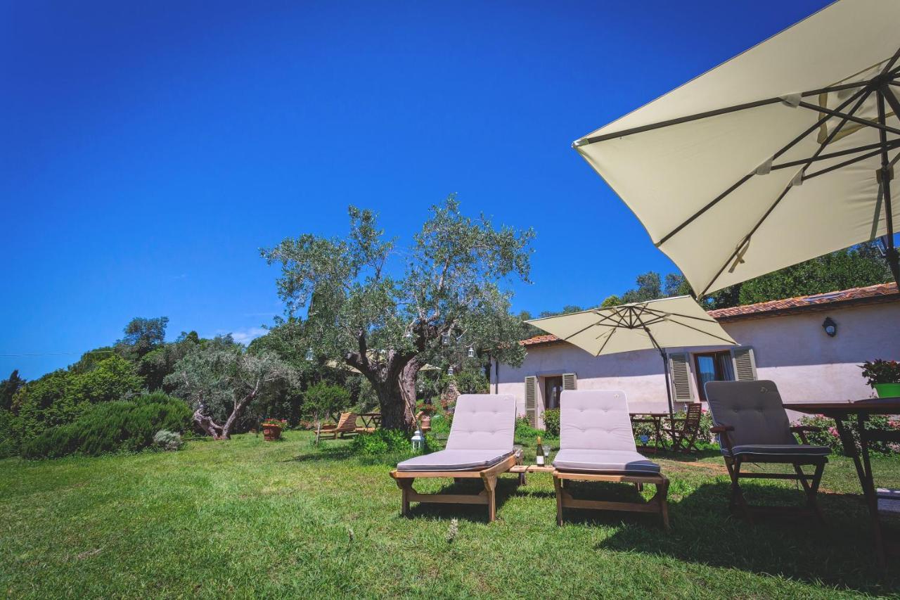 Gatto Rosso Bed and Breakfast Bolgheri Exteriör bild