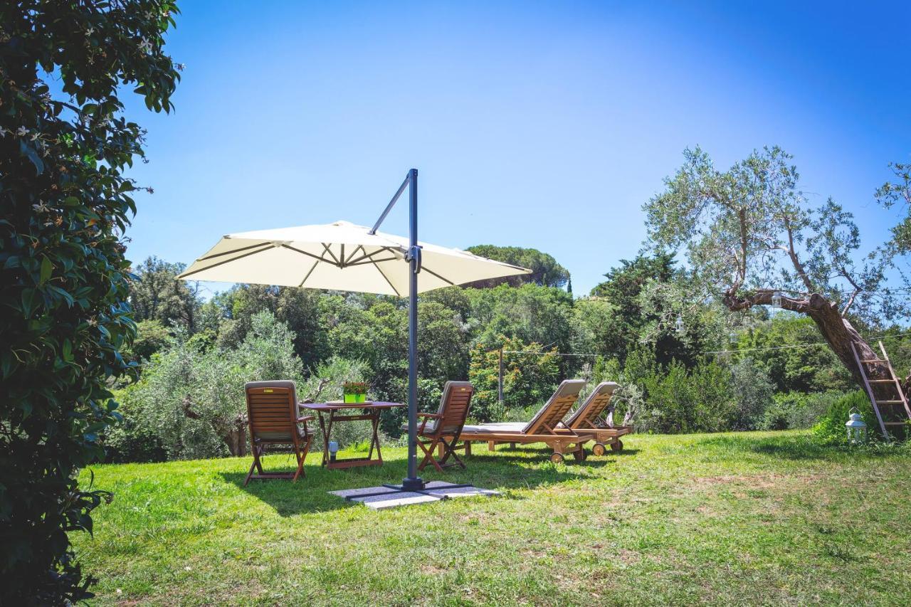 Gatto Rosso Bed and Breakfast Bolgheri Exteriör bild