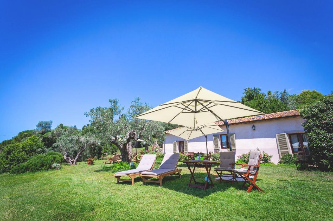 Gatto Rosso Bed and Breakfast Bolgheri Exteriör bild